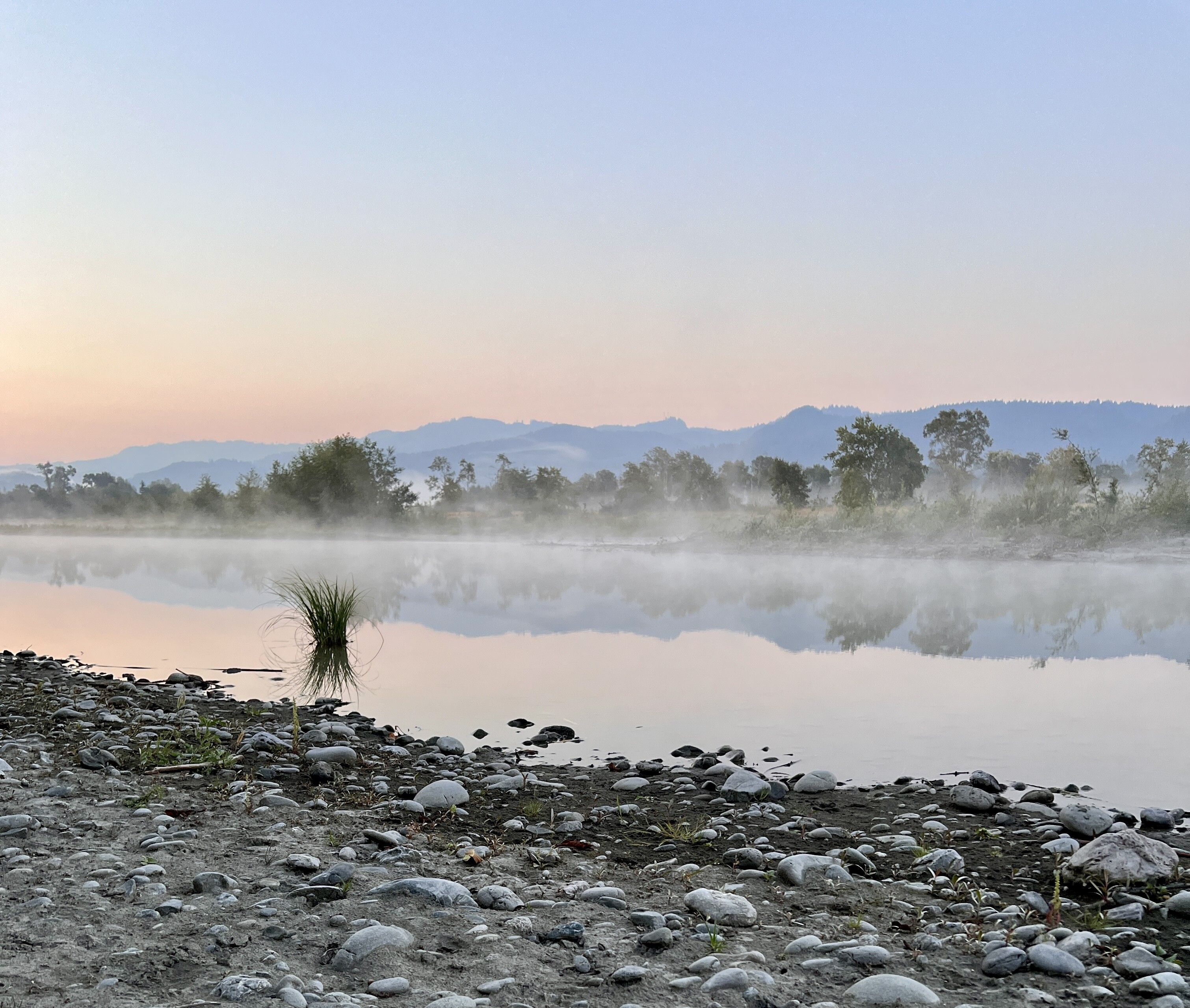 Morning fog drifting over the Mad River at dawn, pink sky reflected in still water